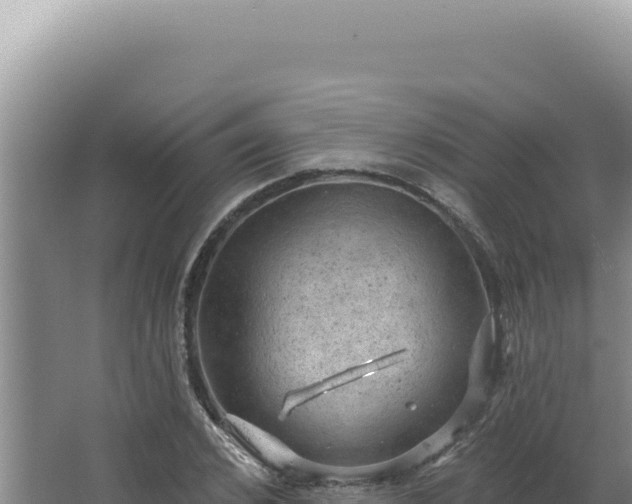 X0000064740976200602131312