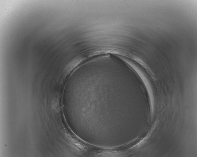 X0000064740977200602131312