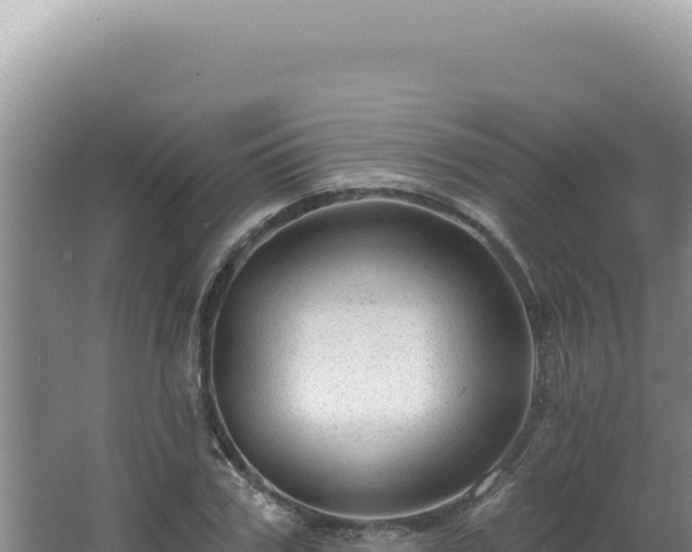 X0000064740979200602131312