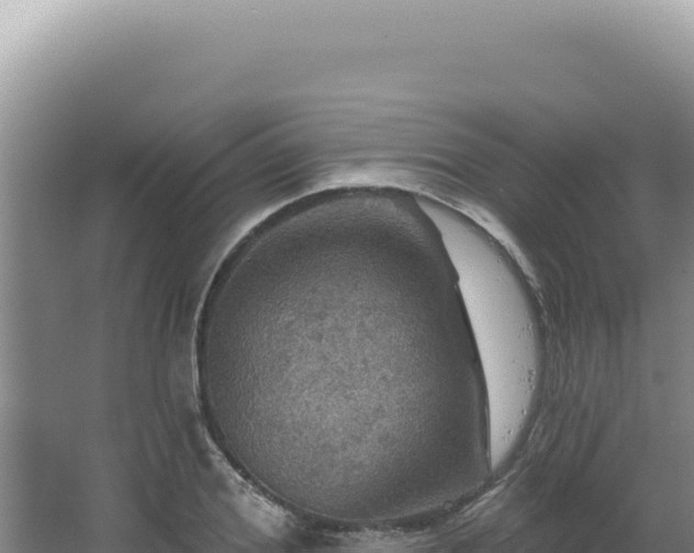 X0000064740980200602131312