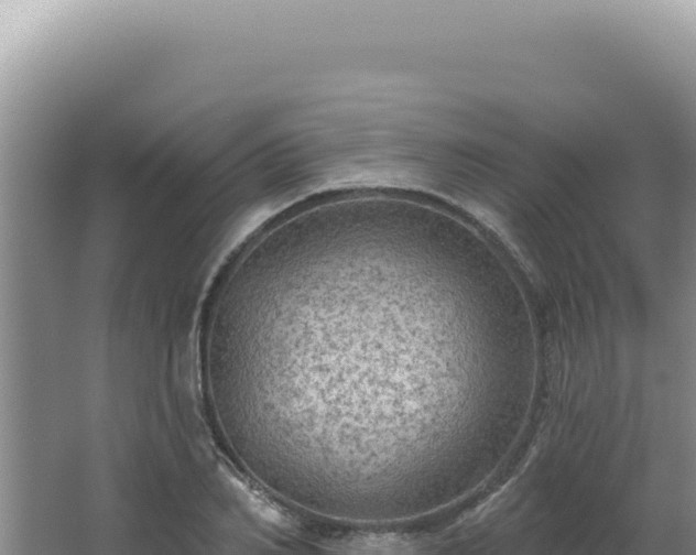 X0000064740982200602131311