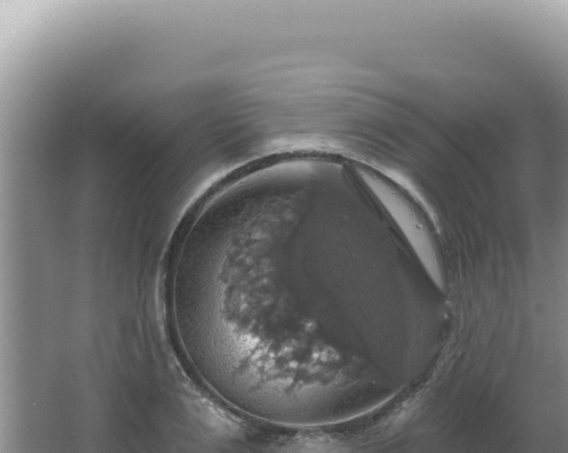 X0000064740983200602131311