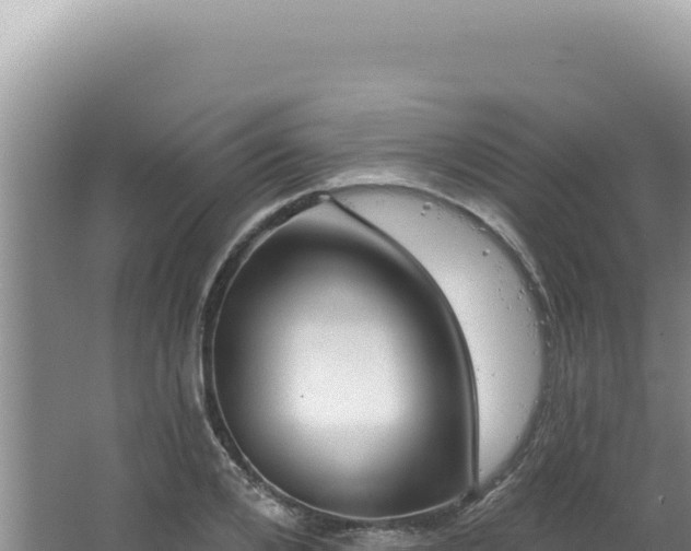 X0000064740984200602131311