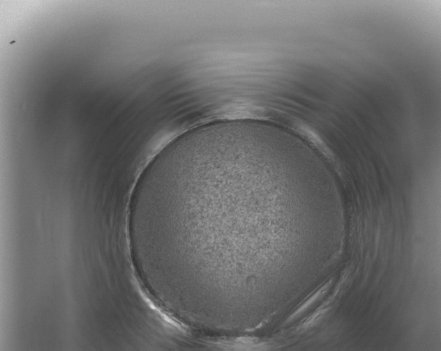 X0000064740986200602131311