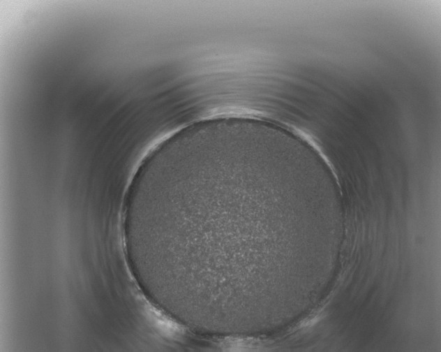 X0000064740987200602131311