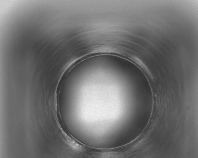 X0000064740988200602131311