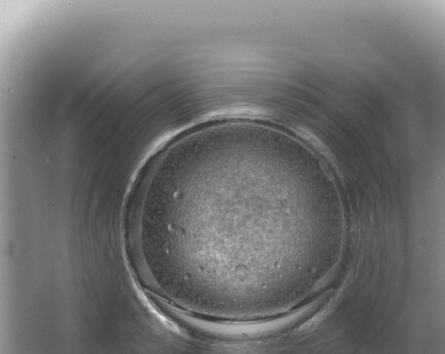 X0000064740989200602131311