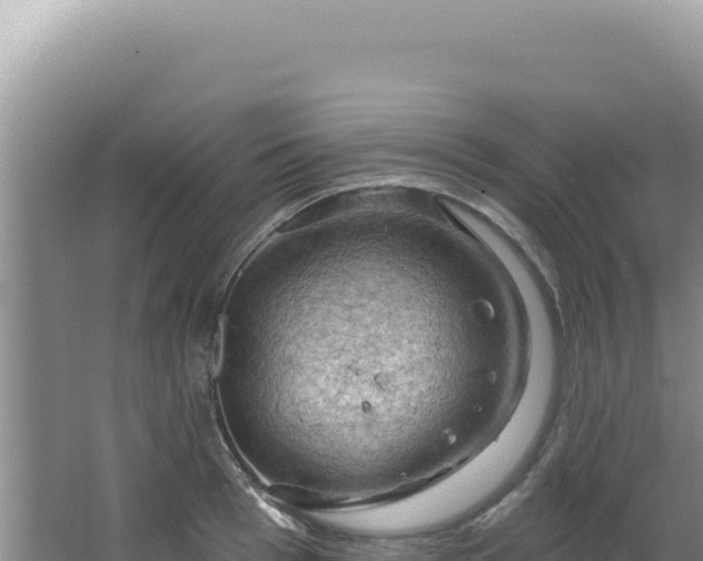 X0000064740993200602131311