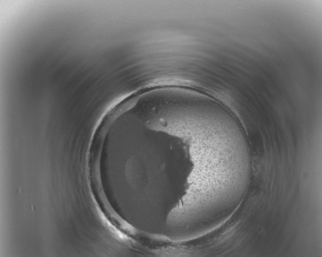 X0000064740995200602131311