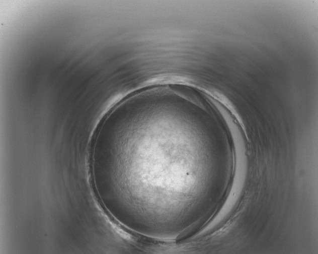 X0000064740997200602131311