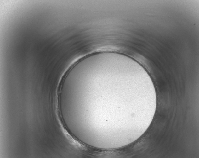 X0000064741000200602131311