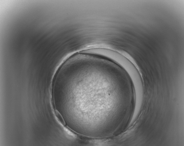 X0000064741005200602131311