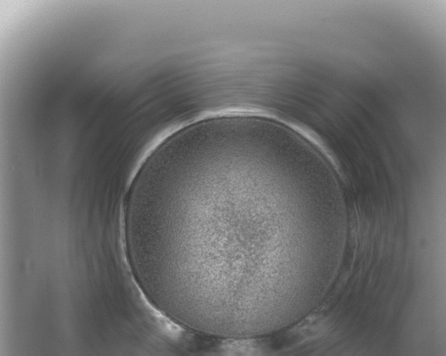 X0000064741006200602131311