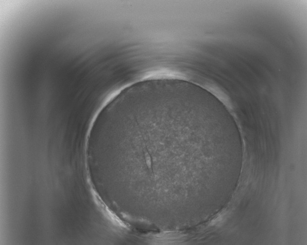 X0000064741008200602131311