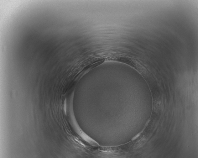 X0000064741010200602131310