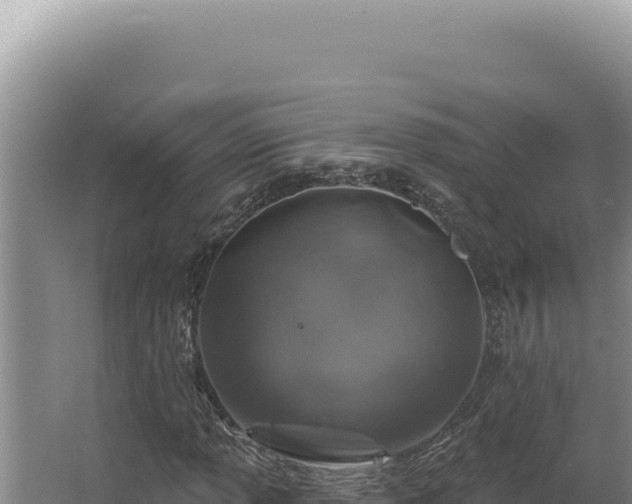 X0000064741013200602131310