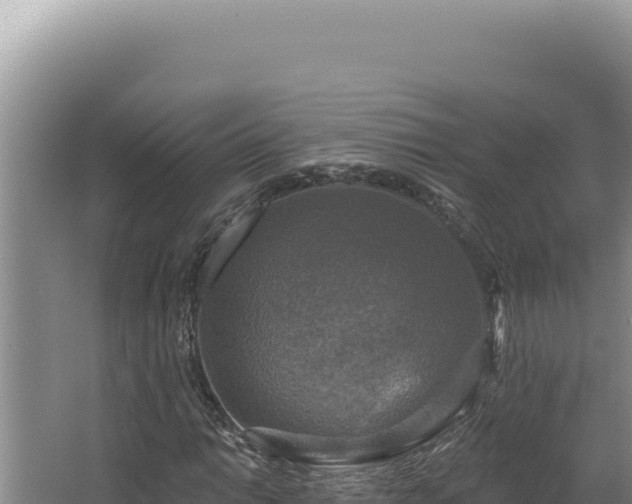 X0000064741014200602131310