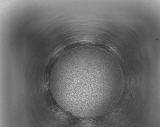 X0000064741015200602131310