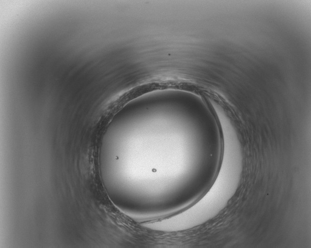 X0000064741016200602131310