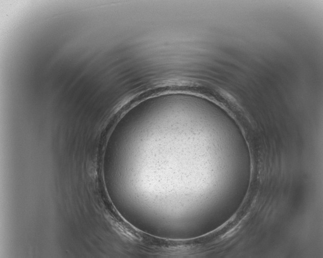 X0000064741017200602131310