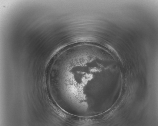 X0000064741019200602131310