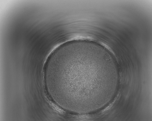 X0000064741021200602131310