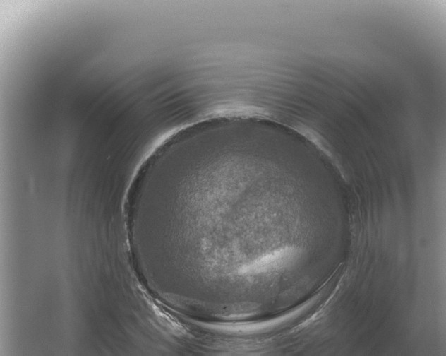 X0000064741022200602131310