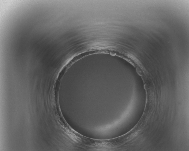 X0000064741023200602131310