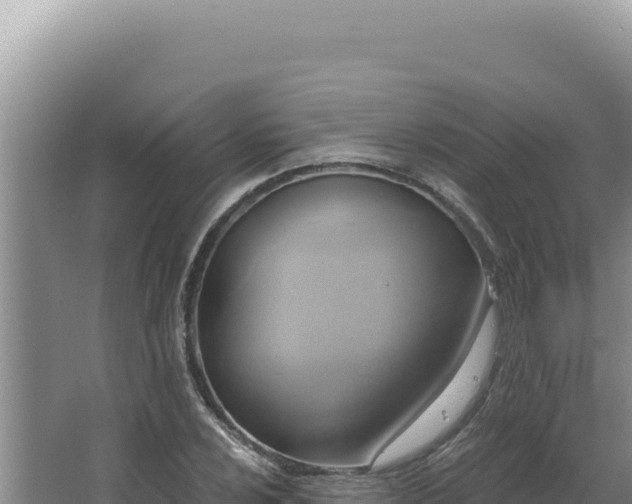 X0000064741024200602131311