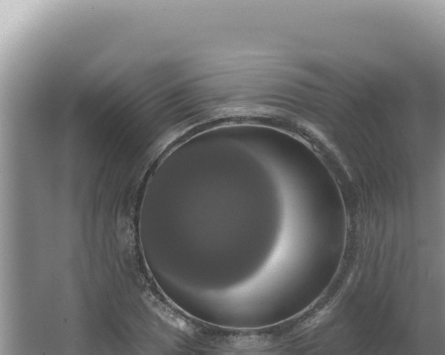 X0000064741025200602131311