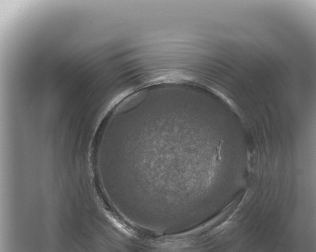 X0000064741026200602131311