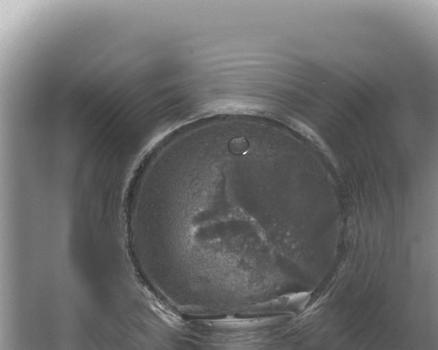 X0000064741027200602131311