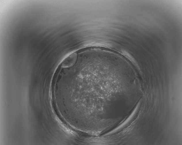 X0000064741028200602131311