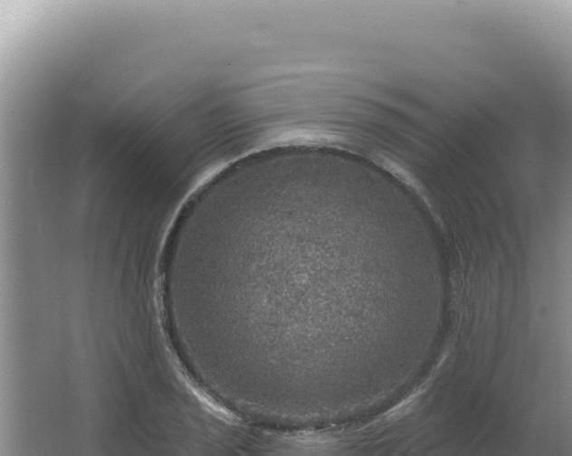 X0000064741029200602131311