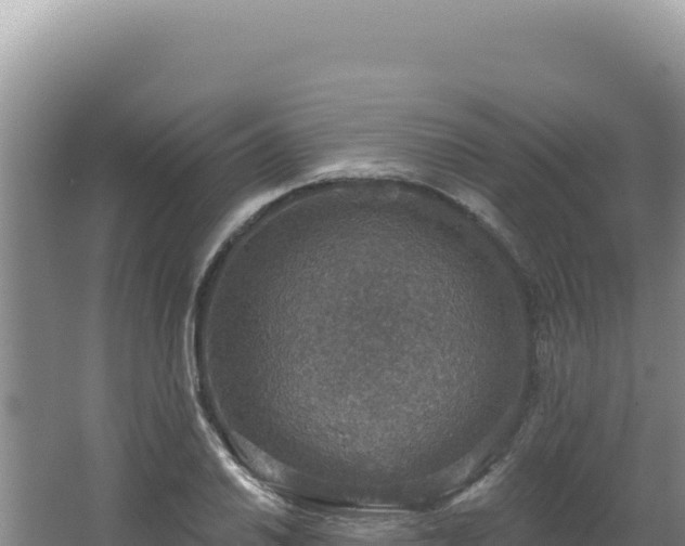 X0000064741030200602131311