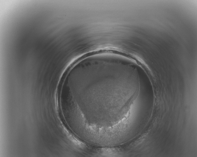 X0000064741032200602131311