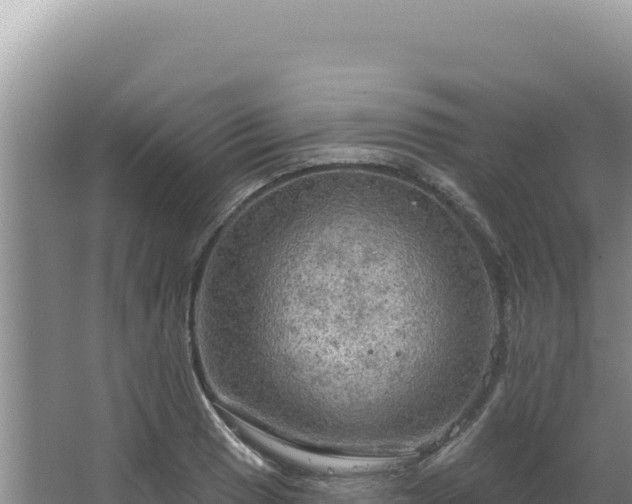 X0000064741033200602131311