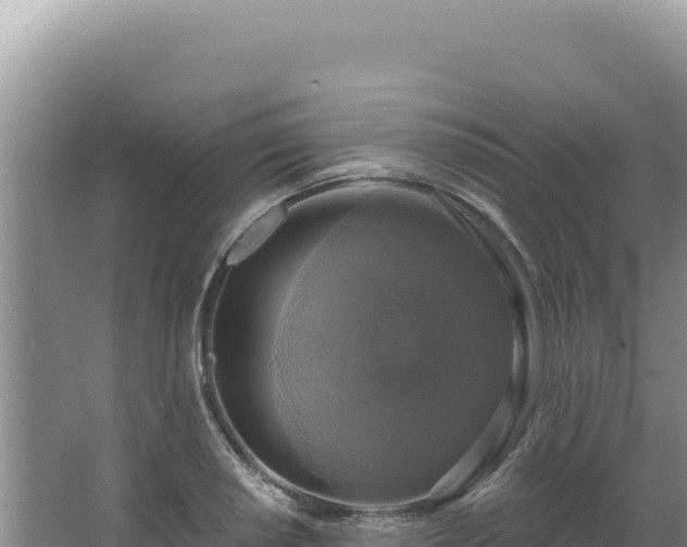 X0000064741034200602131311