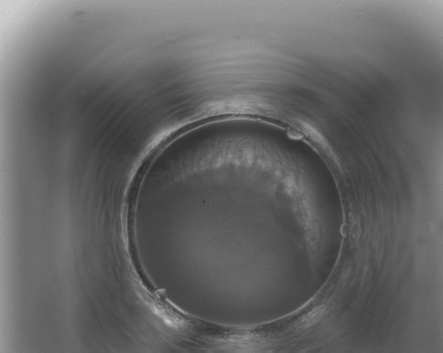 X0000064741035200602131311