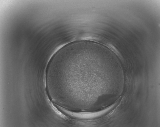 X0000064741036200602131311