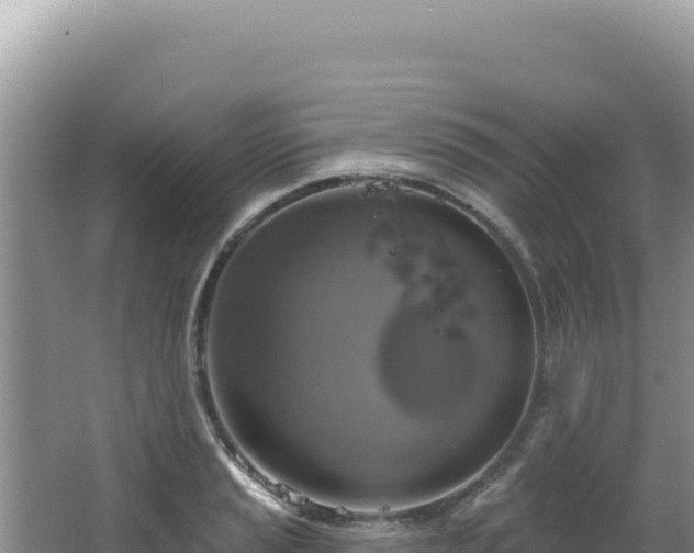 X0000064741037200602131311