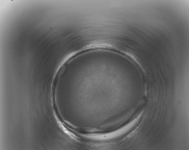 X0000064741038200602131311