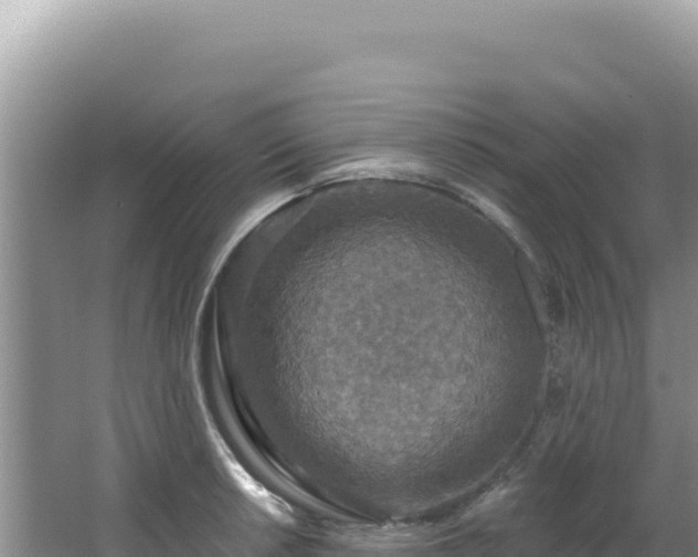 X0000064741042200602131311