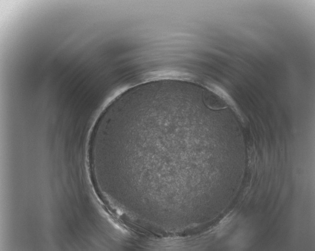 X0000064741043200602131311