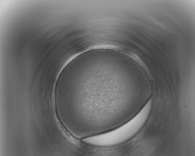 X0000064741044200602131311