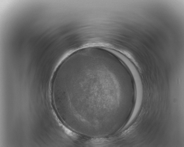 X0000064741046200602131311