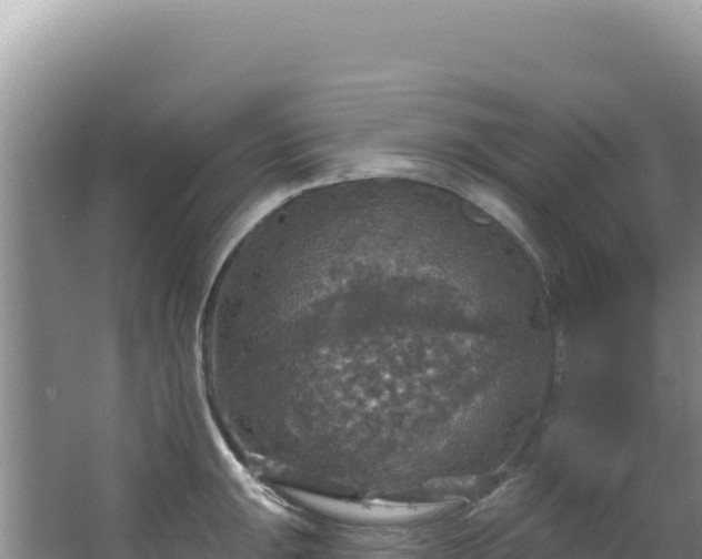 X0000064741047200602131311