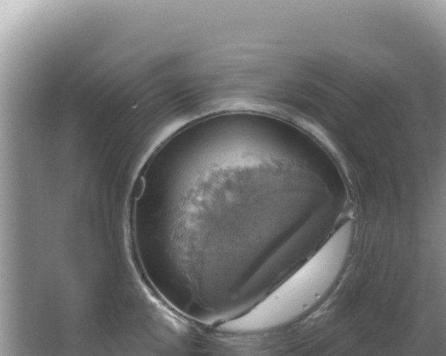 X0000064741048200602131311