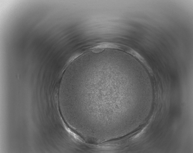 X0000064741049200602131311