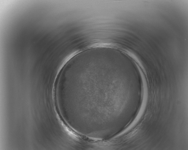 X0000064741050200602131311